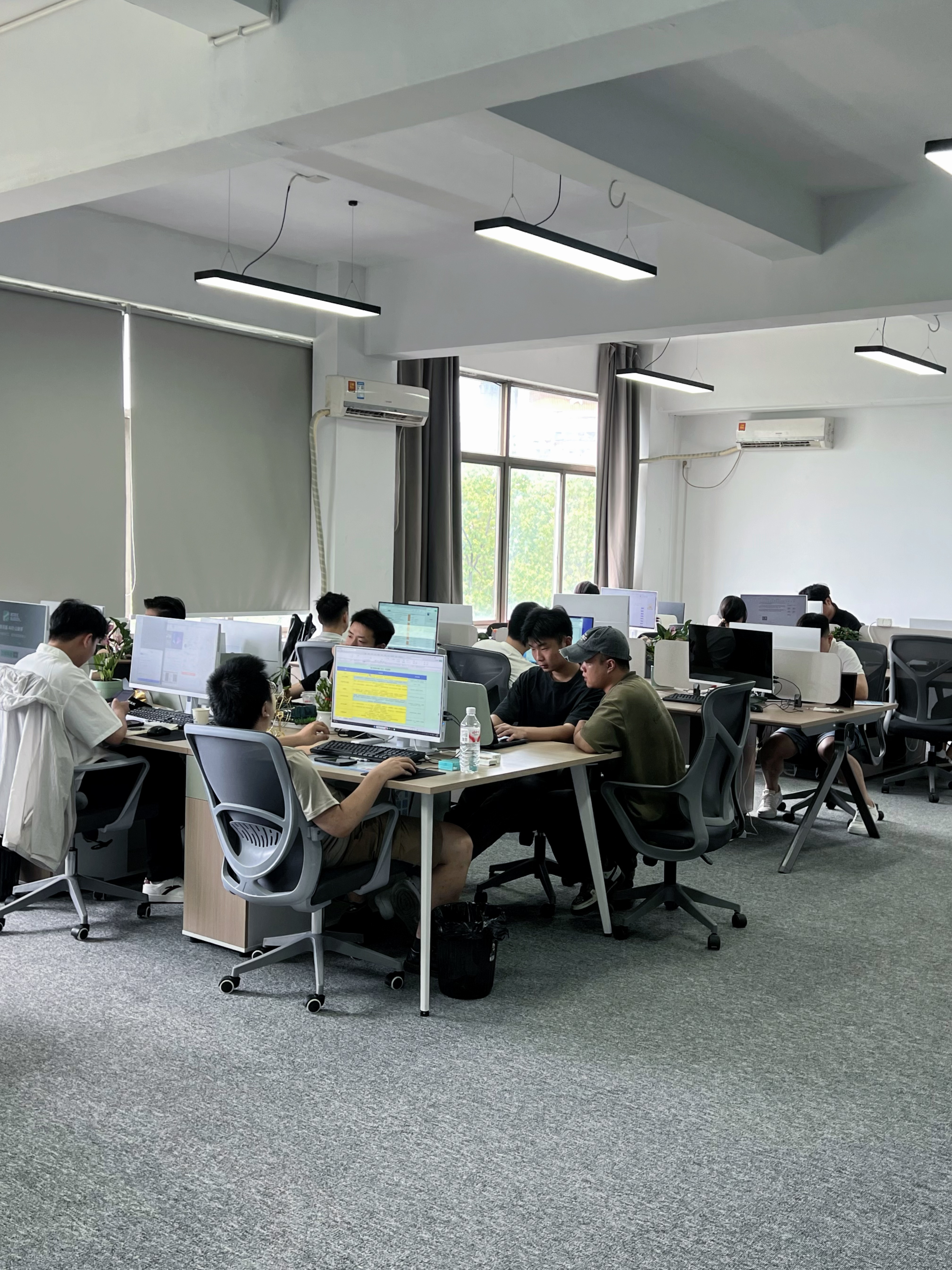 ip人设打造